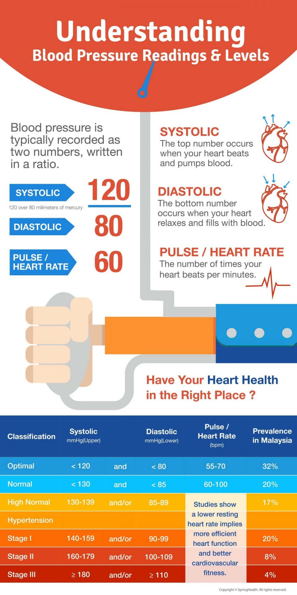 Understand Blood Pressure Reading Springhealth